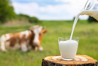 В Оренбуржье одни из самых низких цен на молоко